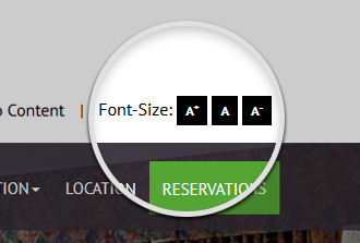 Font Size Widget